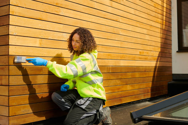Best Custom Trim and Detailing for Siding  in Gray, TN